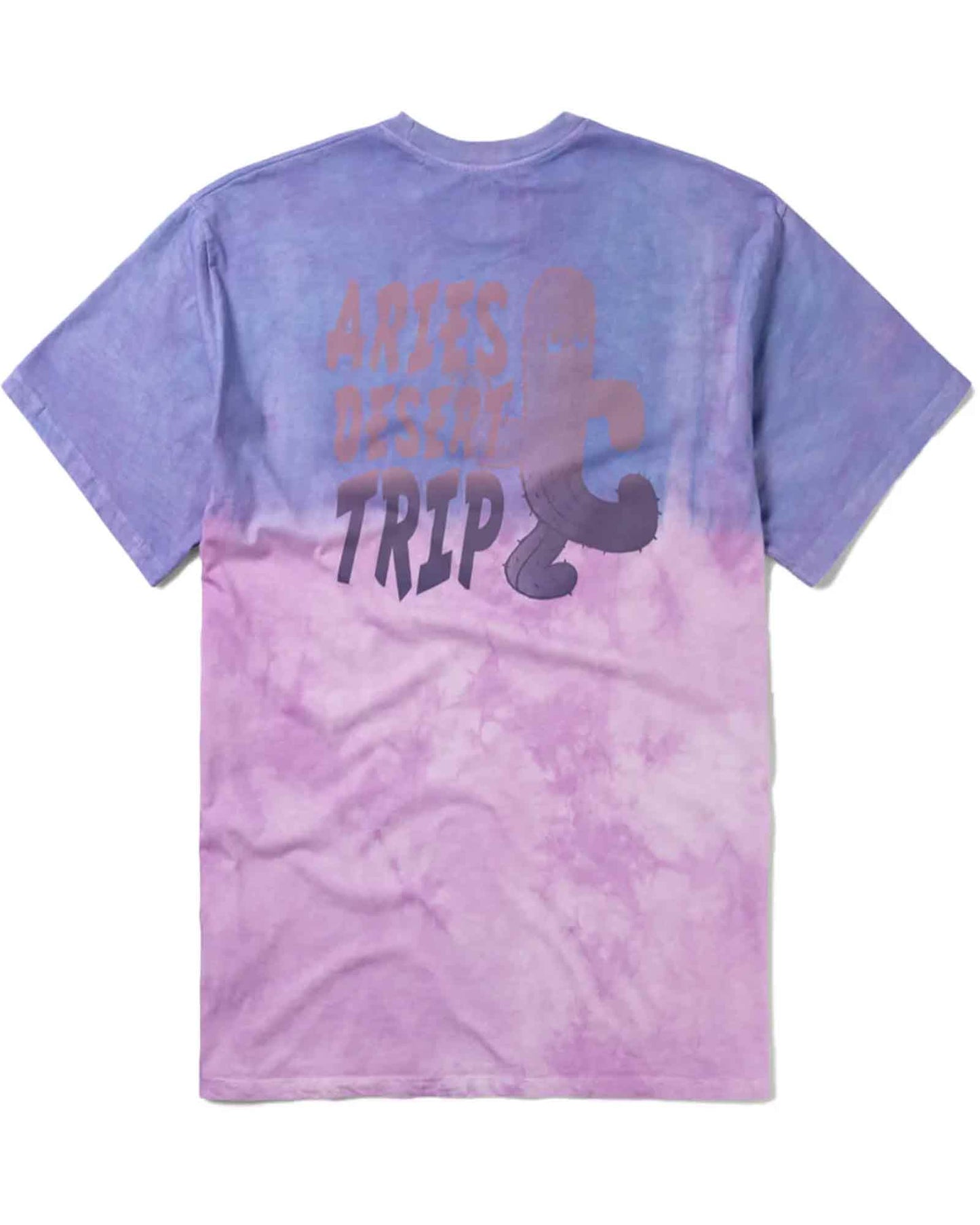 アリーズ/Desert trip dip-dye ss tee/Tシャツ/Purple