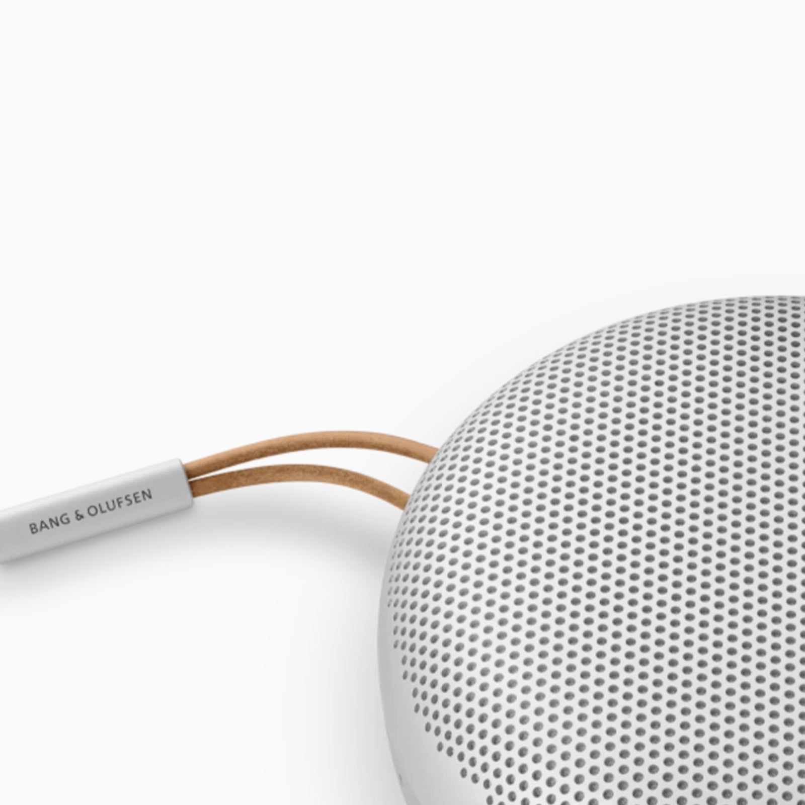 バング&オルフセン/Bang & Olufsen Beosound A1 2nd Gen – Application