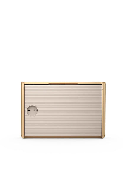 Bang &amp; Olufsen Beosound Level Gold Tone