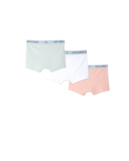 スカイ ハイ ファーム ワークウェア/Perennial underwear pack of three/パンツ/Multi