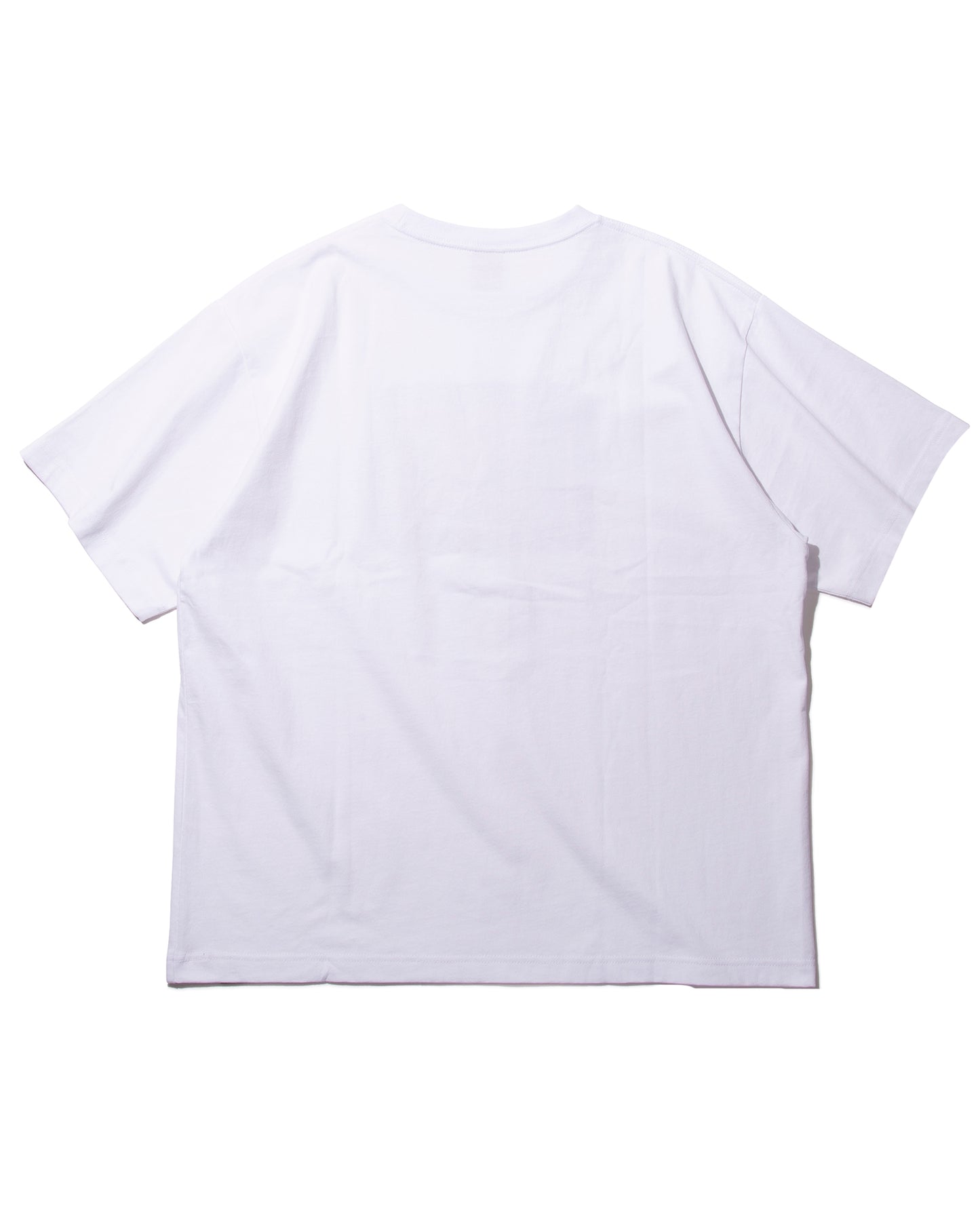 ディーシー/DC DSP STAR SS/Tシャツ/White