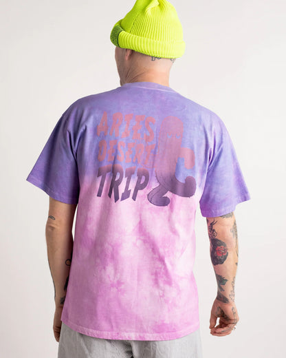 アリーズ/Desert trip dip-dye ss tee/Tシャツ/Purple